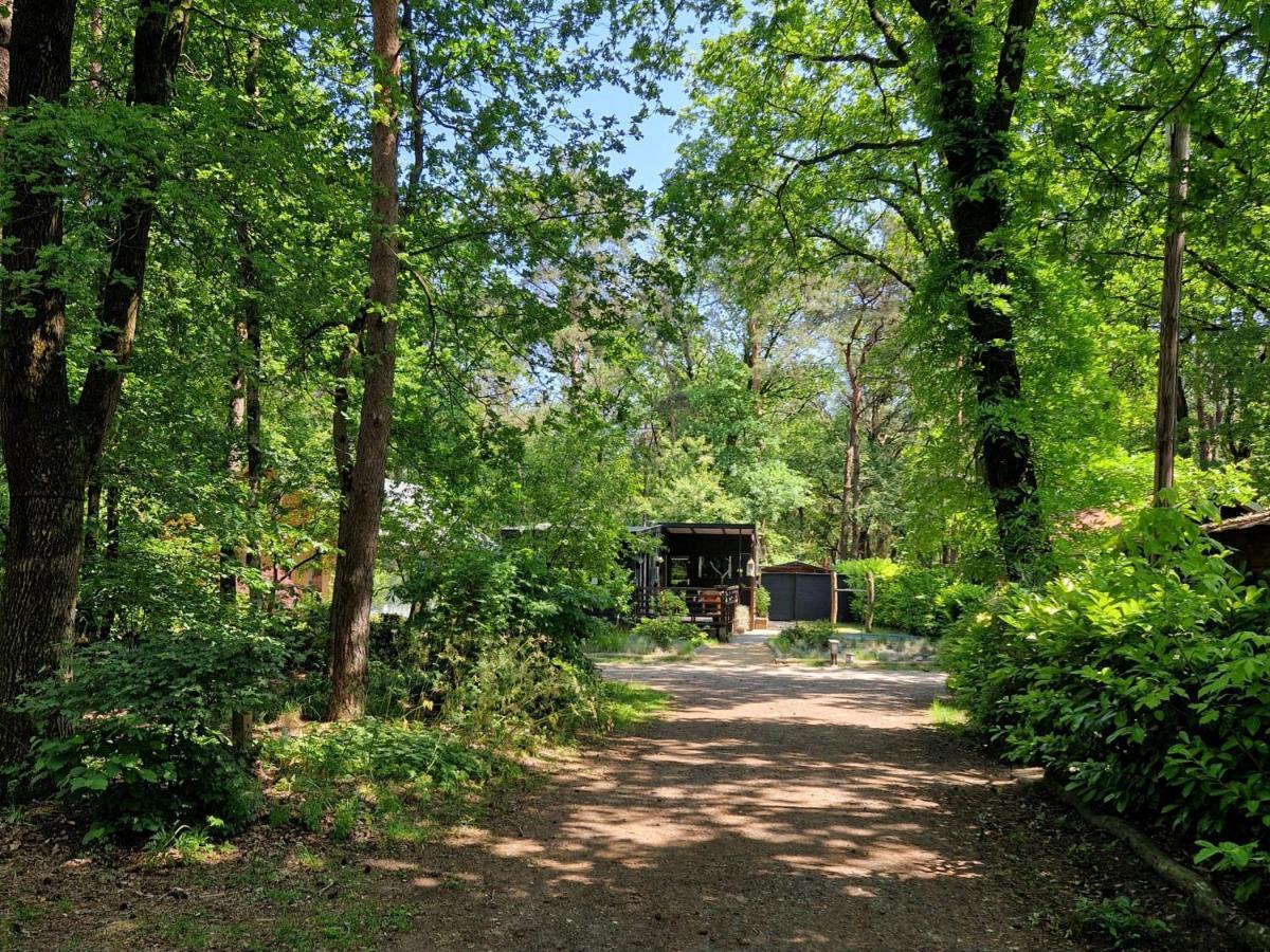 Heerlijk Huisje In Het Bos Op Chaletpark Kempenbos Diessen Ngoại thất bức ảnh