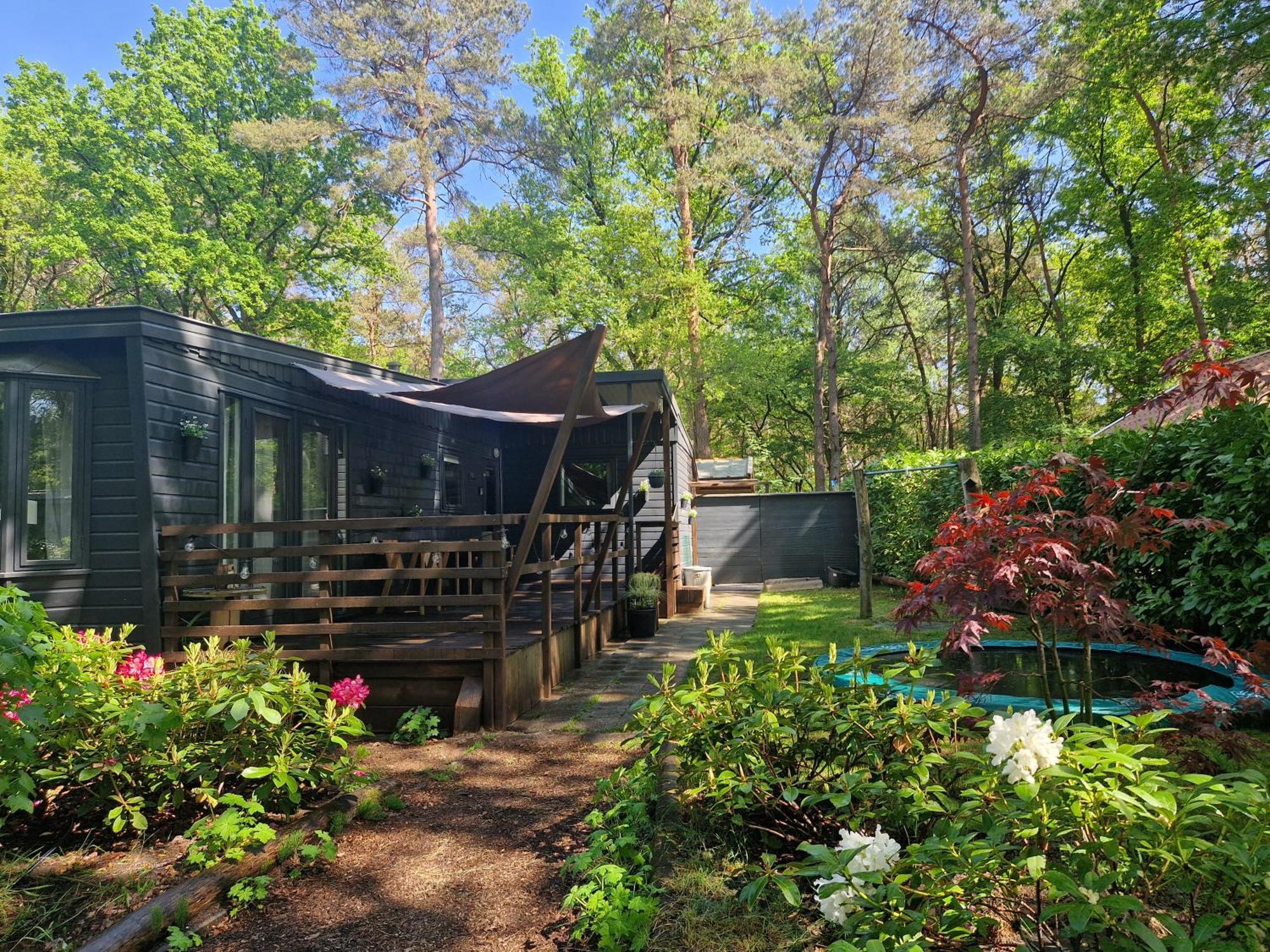 Heerlijk Huisje In Het Bos Op Chaletpark Kempenbos Diessen Ngoại thất bức ảnh